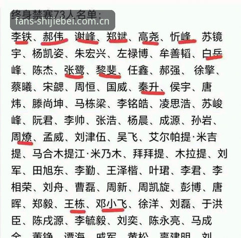 中国足球禁足名单分析教程：从世界杯体育平台看足坛反腐风暴